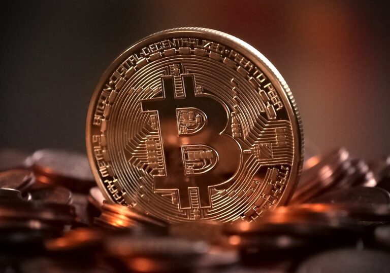 Bitcoin, la cryptomonnaie la plus célèbre au monde