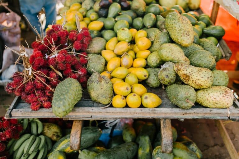 Maca bio du Pérou en différentes couleurs pour la santé et le bien-être