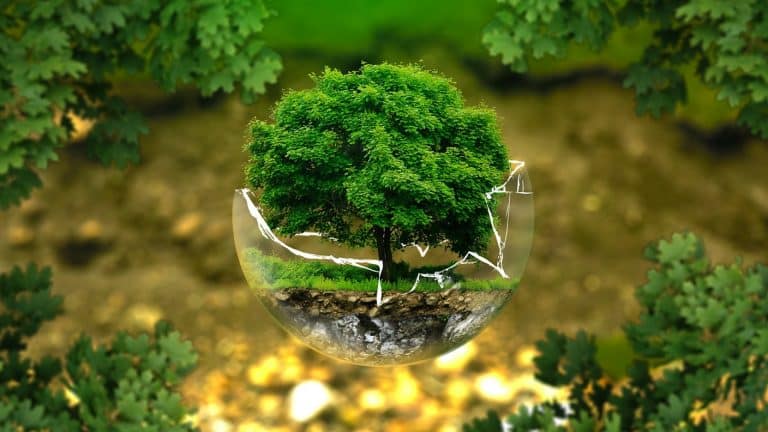 Gestes écoresponsables pour un quotidien durable et respectueux de l'environnement