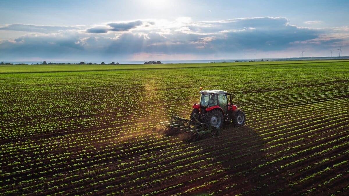 tracteur champs 