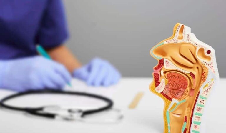 Les pathologies des organes de la sphère ORL