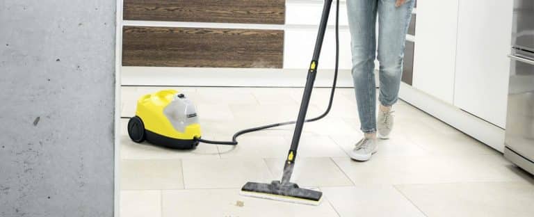 nettoyeur vapeur professionnel