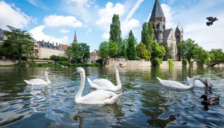 Que faire à Metz pendant votre court séjour