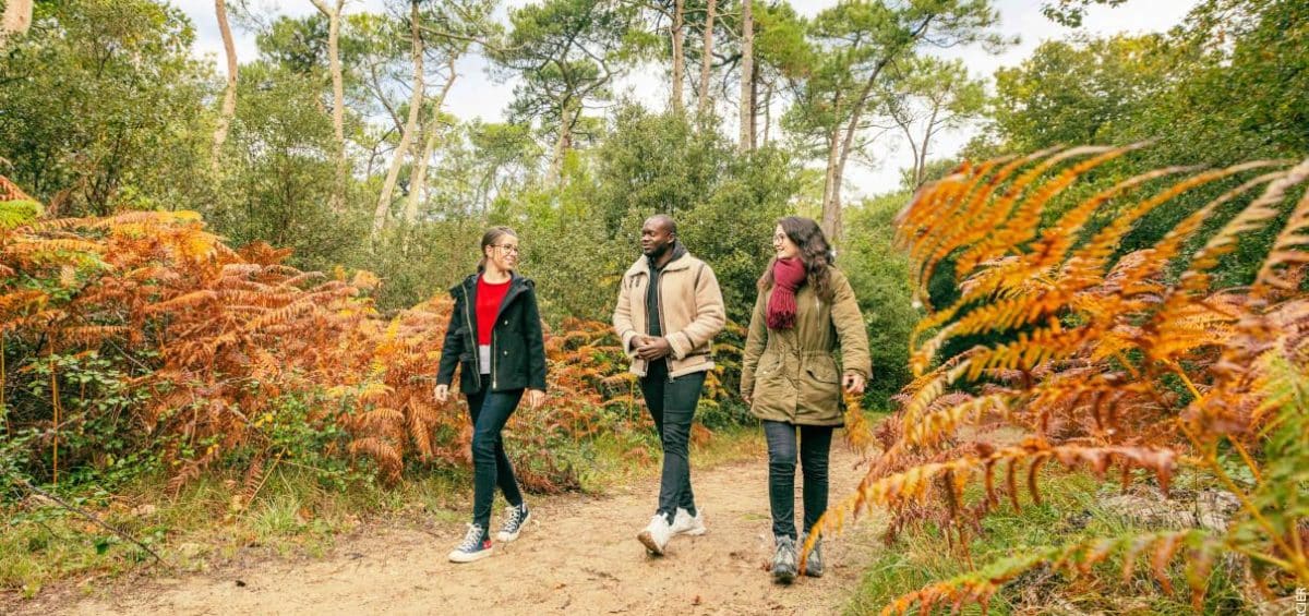 Que pouvez-vous faire pendant vos vacances en Vendee