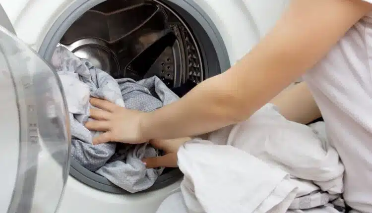 Quelle contenance de machine à laver professionnelle choisir ?