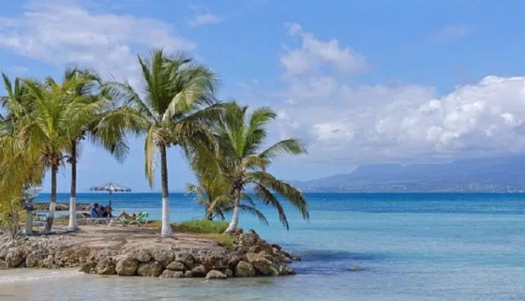 Quelle est la meilleure période pour la Guadeloupe