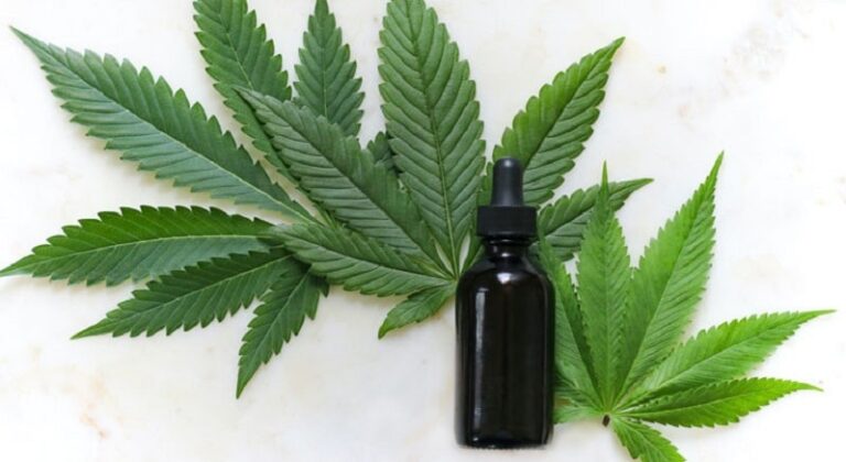 Quelles sont les vertus des Fleurs de CBD