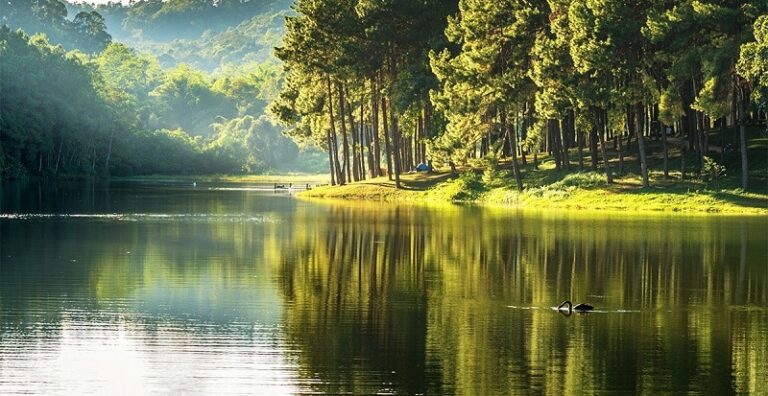 Tout savoir sur les réserves d’eau en France
