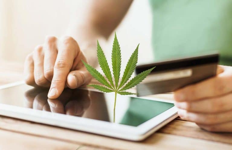 Informations essentielles sur l'achat de produits CBD