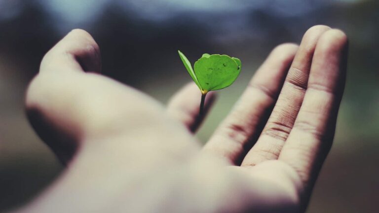 Que vaut l'assurance vie MAAF Winalto ?