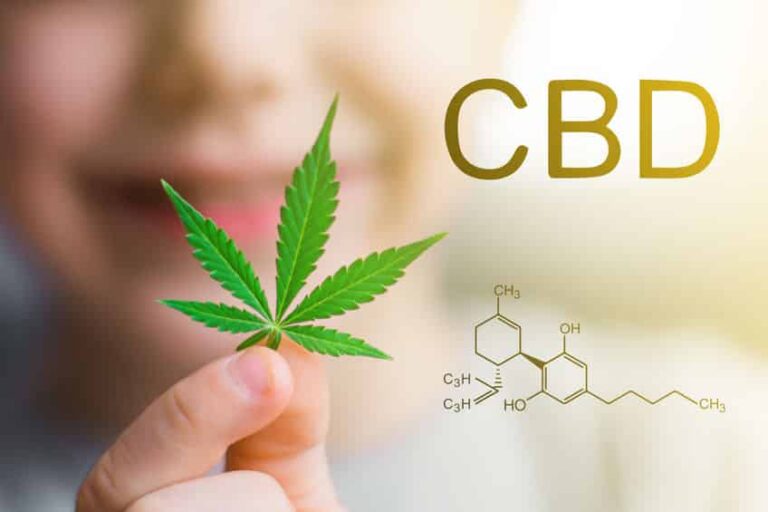 Fleurs de cannabis utilisées pour la consommation de CBD