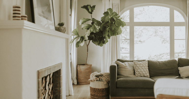 Pot à réserve d'eau gris, vase en céramique texturé et lanterne décorative