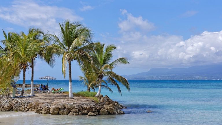Plage ensoleillée de Guadeloupe avec palmiers et ciel bleu