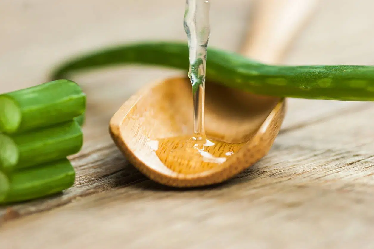 Aloe vera cosmétique bio