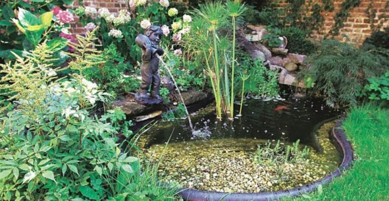 bassin préformé installé dans un jardin verdoyant