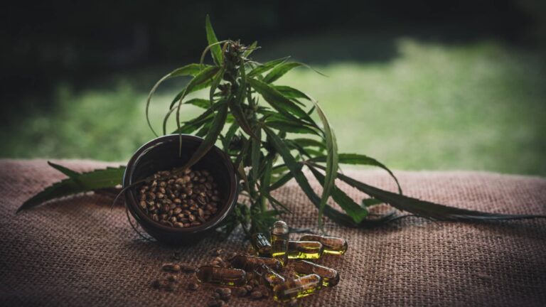 Où acheter des graines de cannabis ?