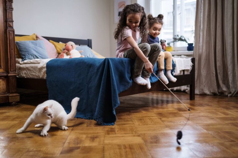 Maine Coon jouant avec des enfants dans un salon chaleureux