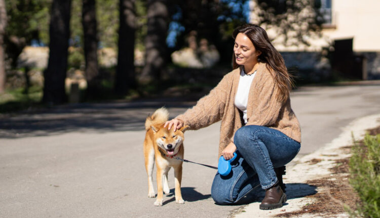 Pourquoi choisir un dog sitter ? Les avantages de faire garder votre chien