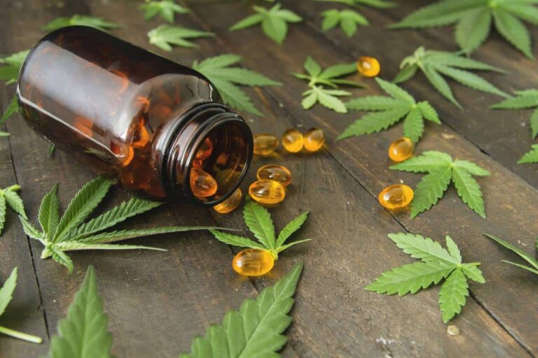 Dosage recommandé de CBD pour un bien-être optimal