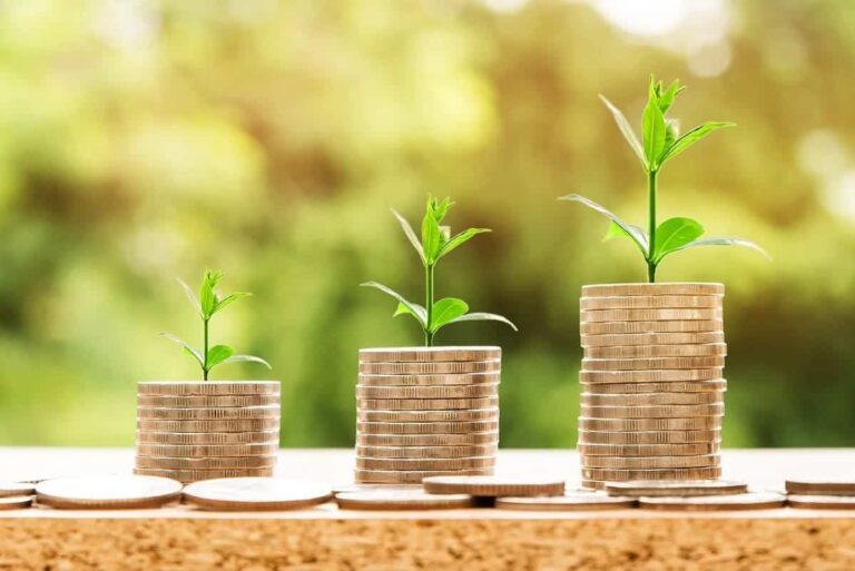 Des plants qui poussent sur des pièces de monnaie