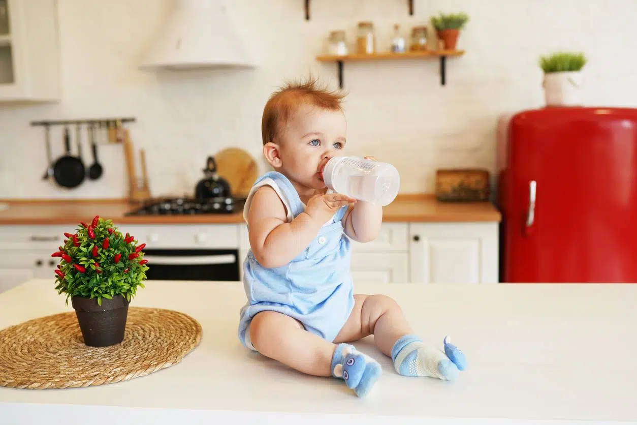 lait infantile, probiotiques, défenses immunitaires