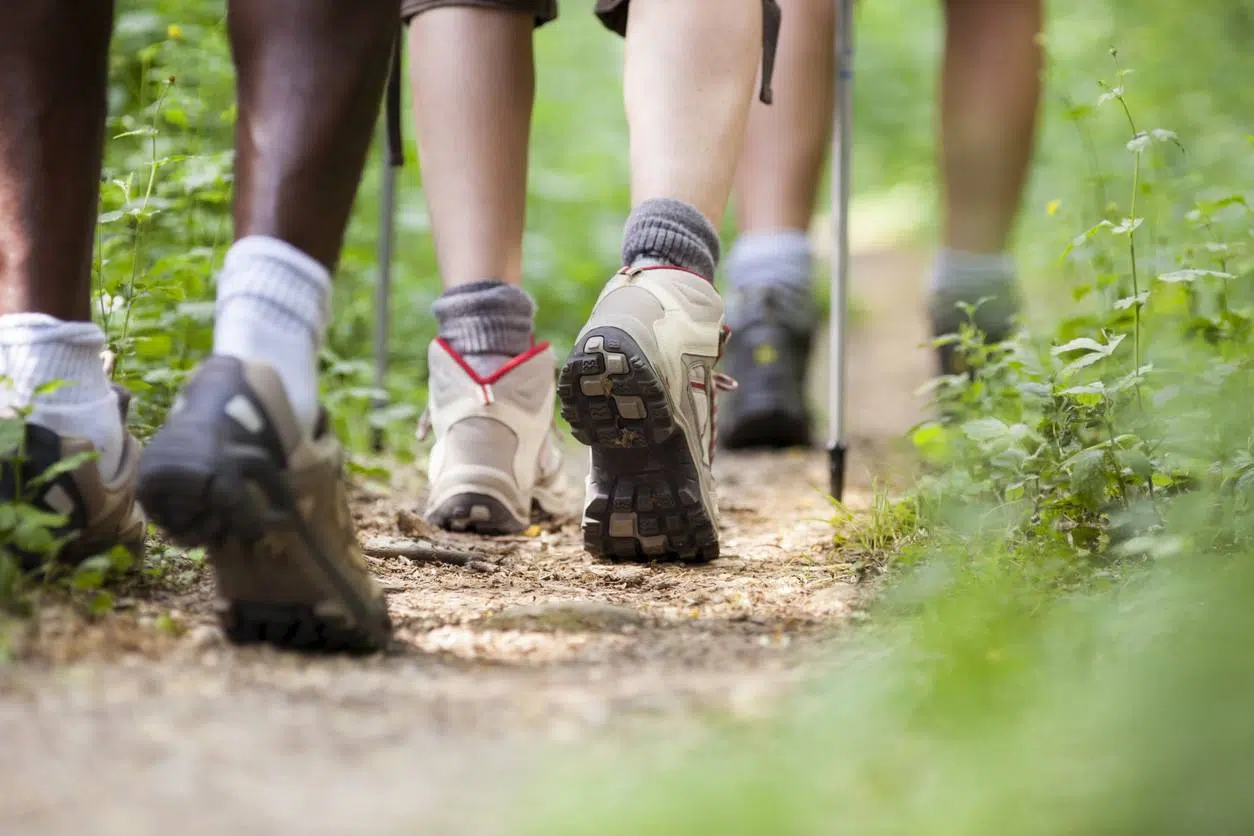 chaussures trekking